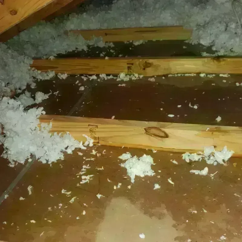 Attic Water Damage in Yell County, AR