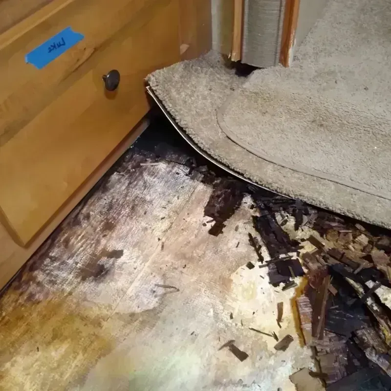 Best Wood Floor Water Damage Service in Yell County, AR